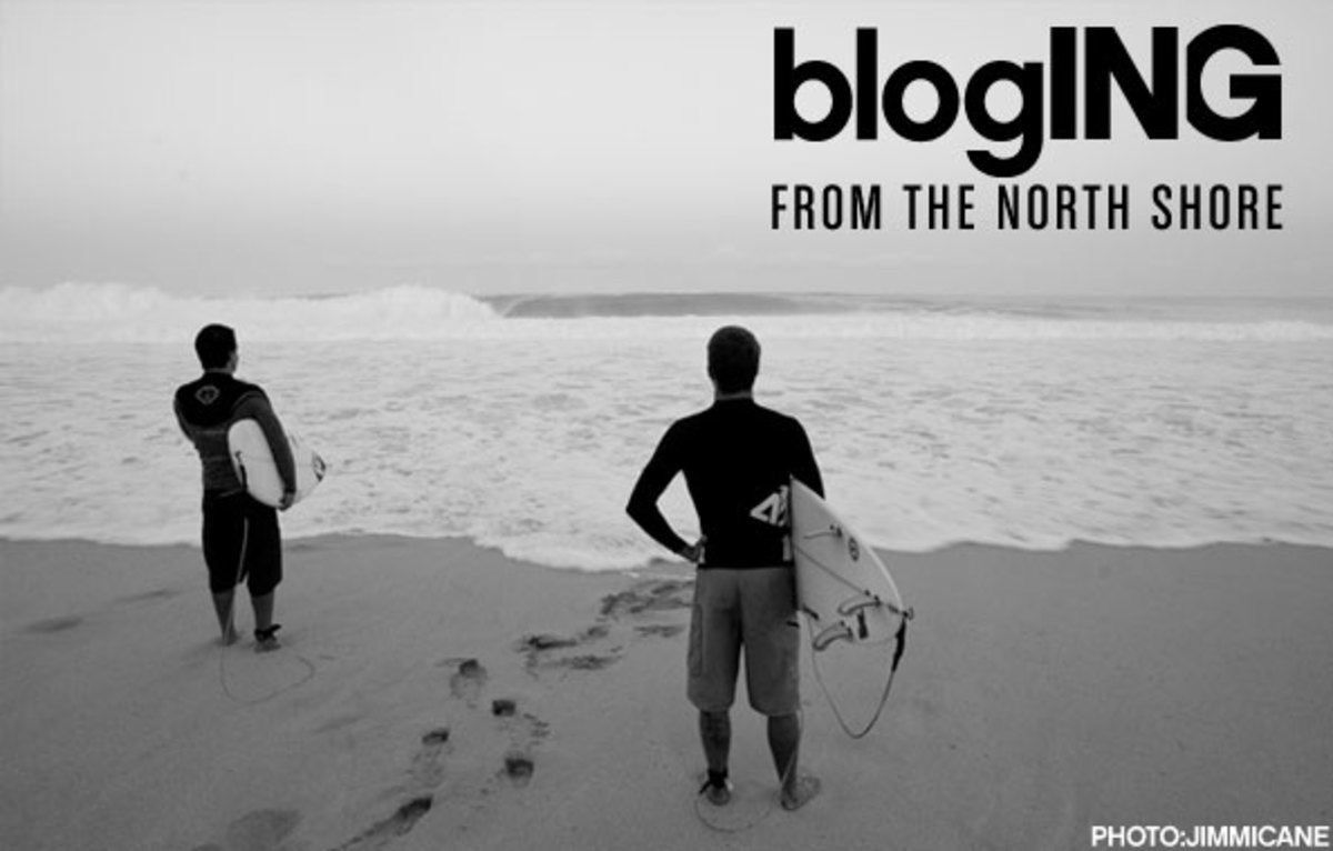 bloging-3 bloging-3