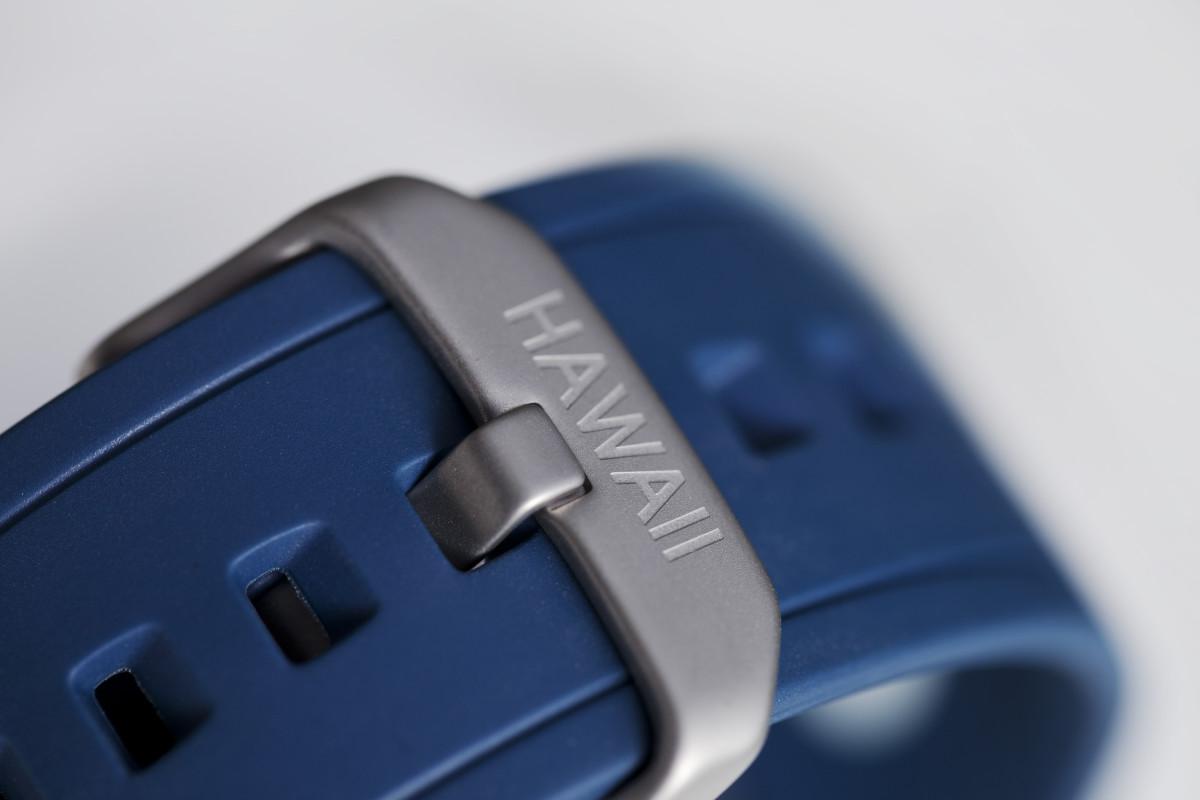 HAWAII_LODOWN-DETAIL-1