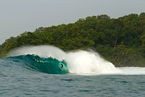 Jason Childs | Java - Surfer