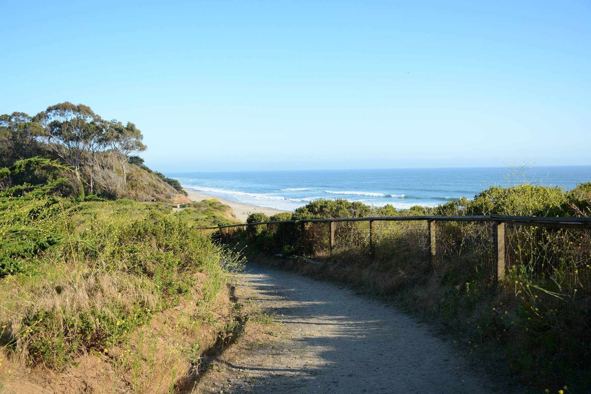 26-Year-Old Shaper Ben Kelly Killed in Santa Cruz Shark Attack - Surfer