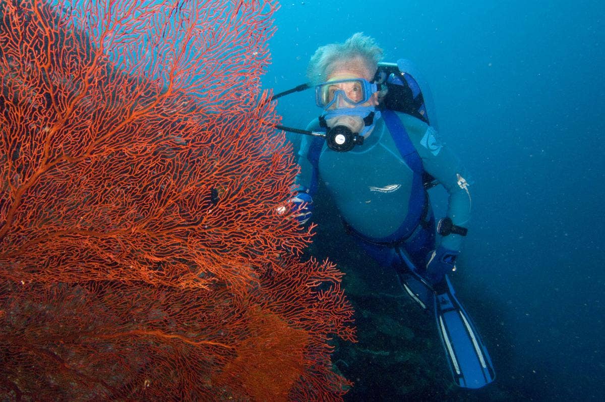 Jean-Michel Cousteau Talks Ocean Conservation, The Legacy Of The