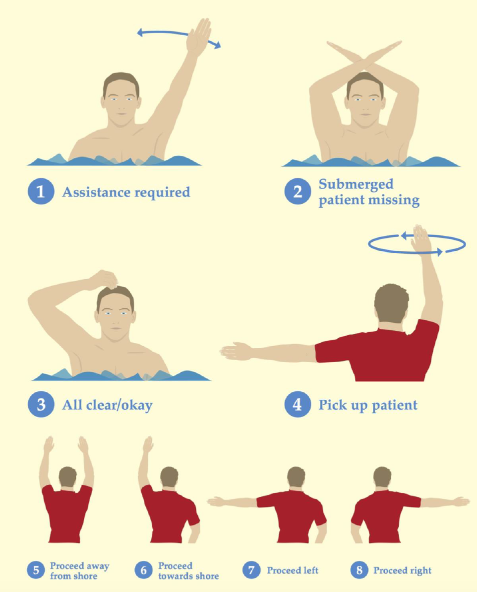 A Surfer’s Guide to Lifeguard Signals and Beach Flags - Surfer