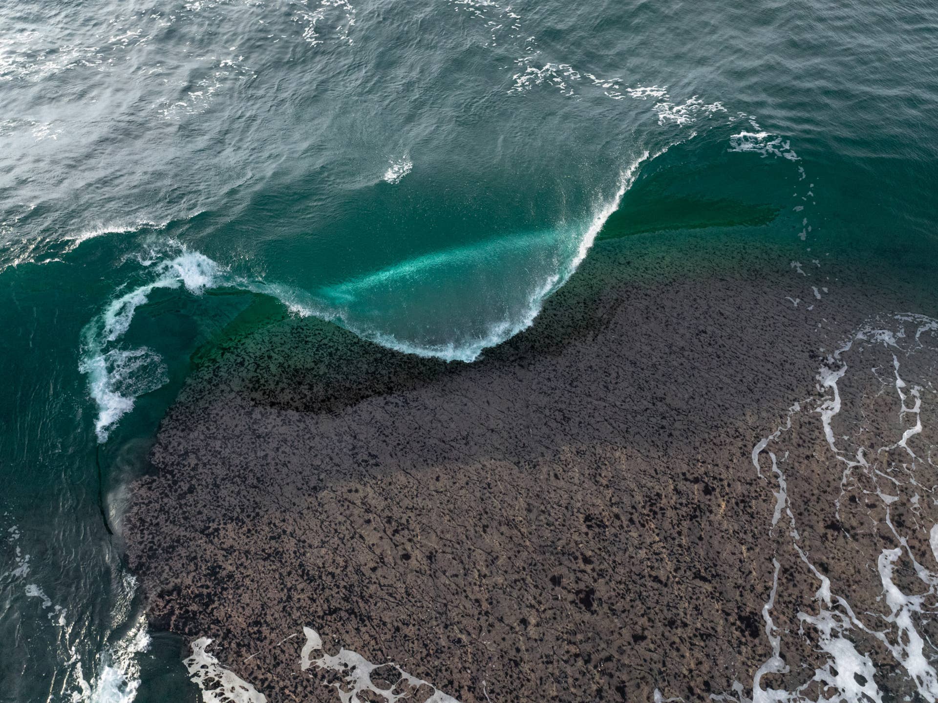 Announcing The First UK Surf and Skate Expo in Two Decades - Surfer