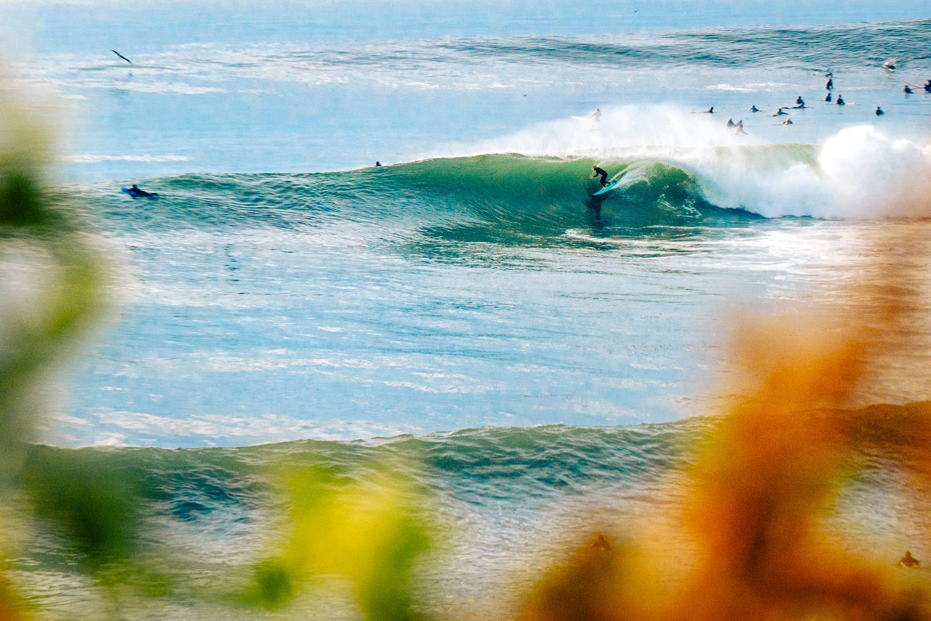 In Focus, San Diego Goes XL With Holiday Swell - Surfer