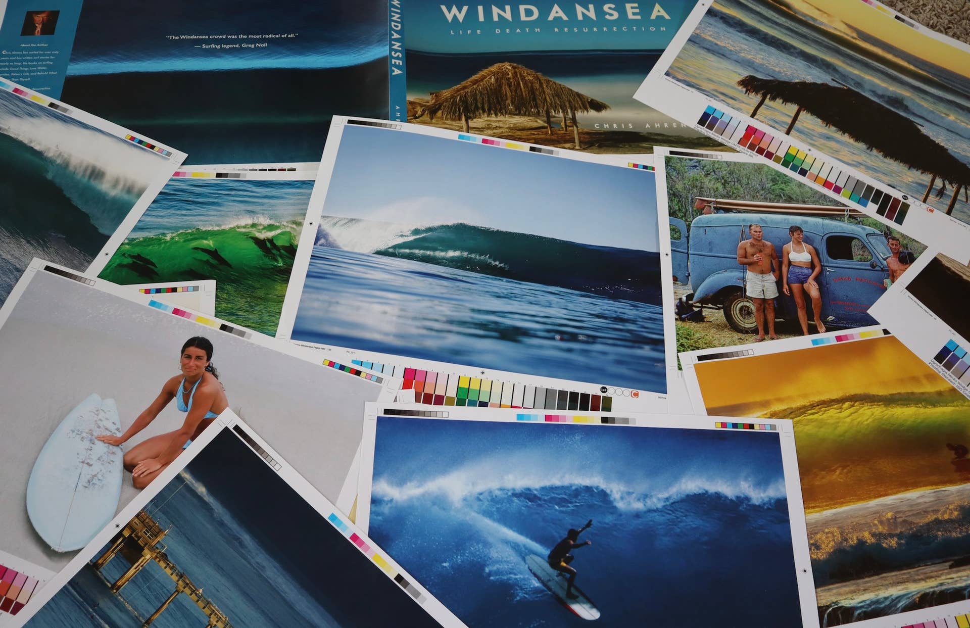 Book - Surfer