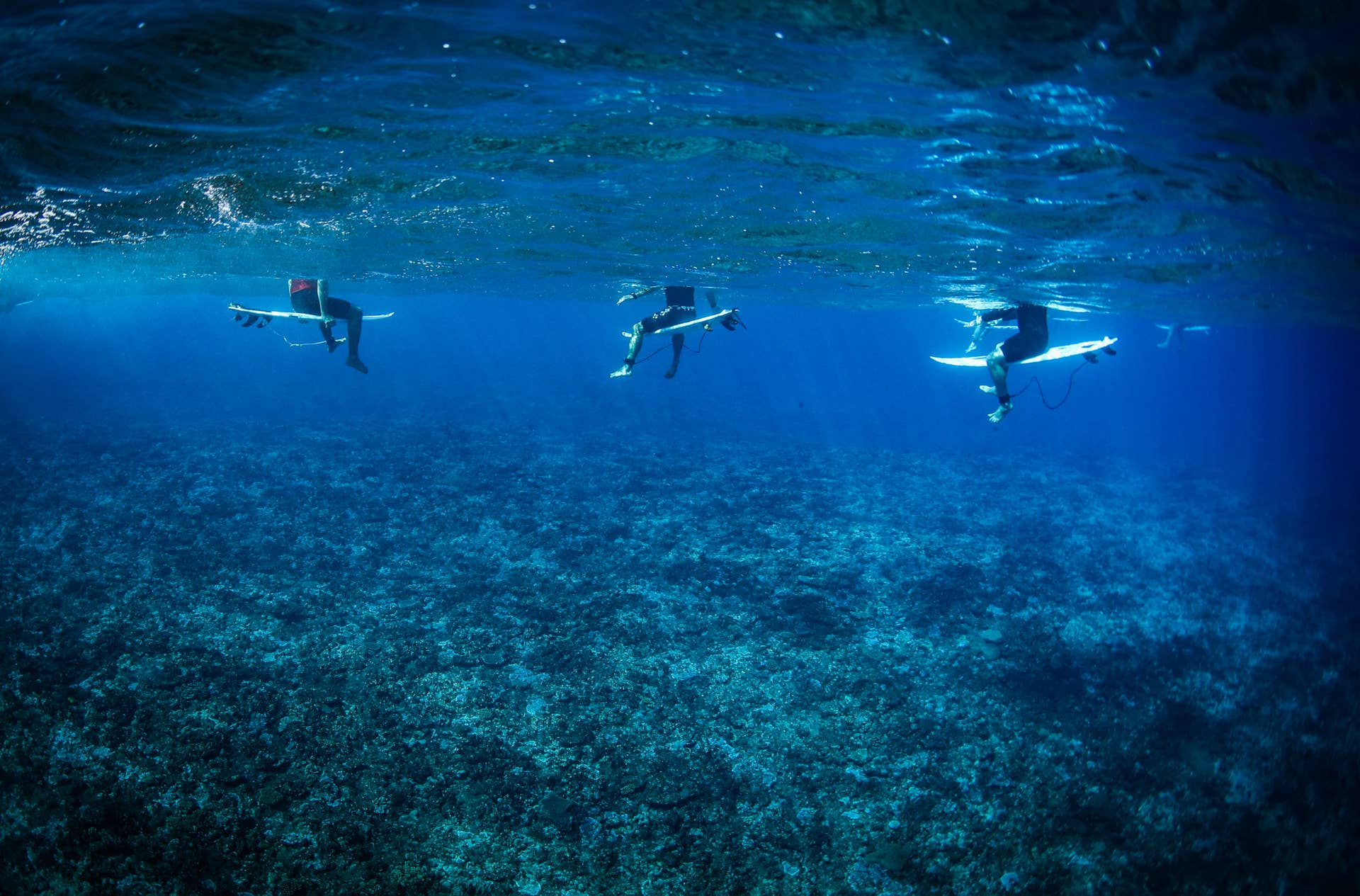 Everything You Need to Know About Teahupo'o - Surfer