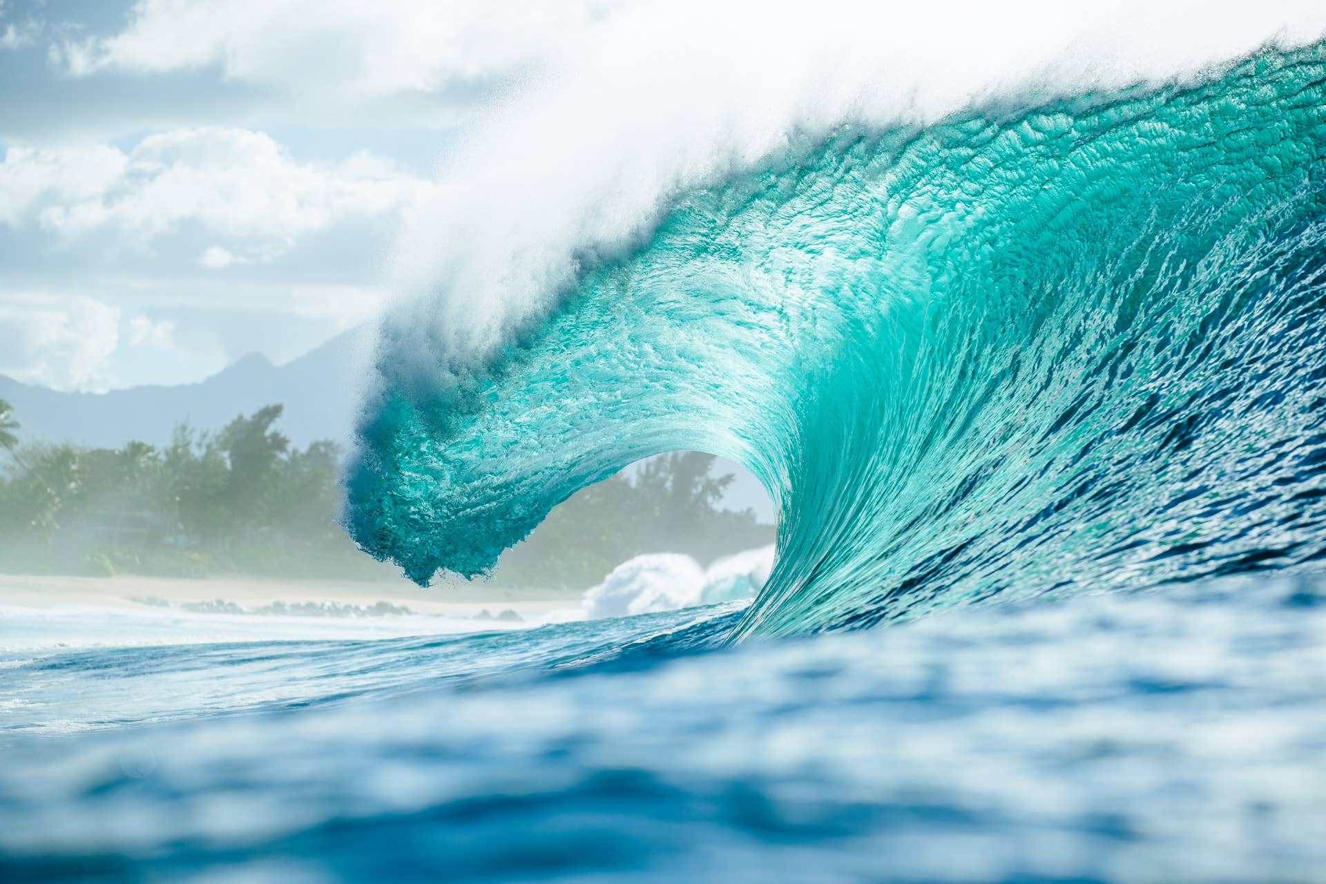Watch Live: World Surf League Kicks Off at Pipeline - Surfer