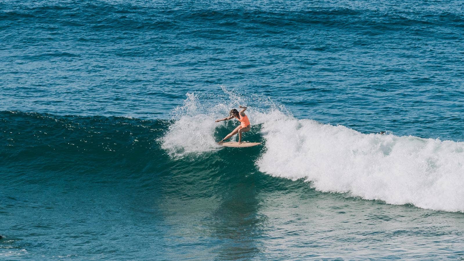 値下げDavid RastovichパーソナルProボードGregGriffin Dave Rastovich - Surfer