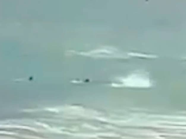Shark Attack Caught on Camera in Sydney, Surfer ‘Fighting for His Life ...