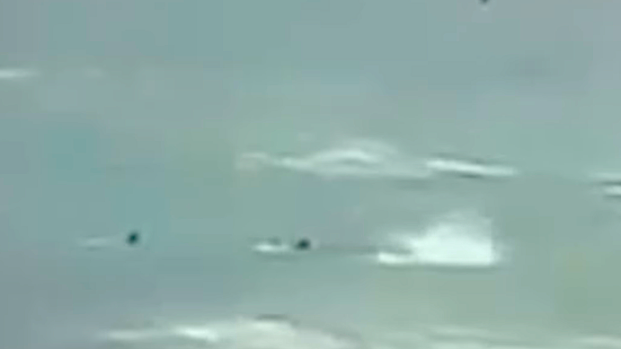 Shark Attack Caught on Camera in Sydney, Surfer ‘Fighting for His Life ...