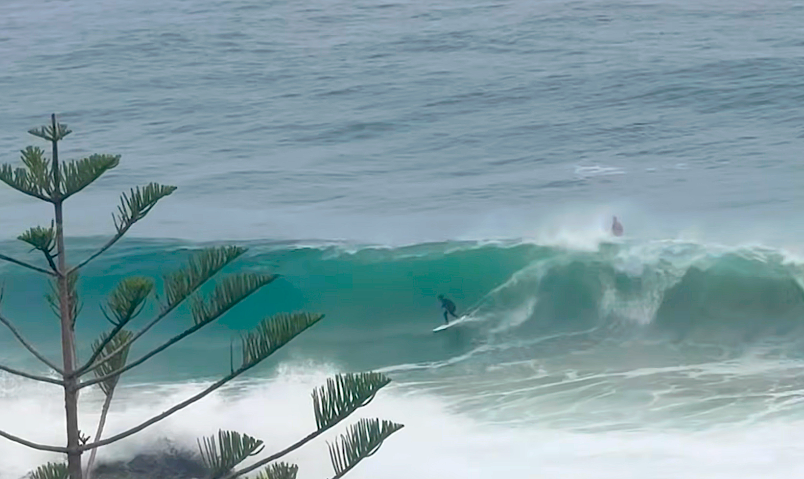 Snapper Rocks Pumping Surf Surfers Score Empty Snapper Rocks After Sharknado (Video) - Surfer