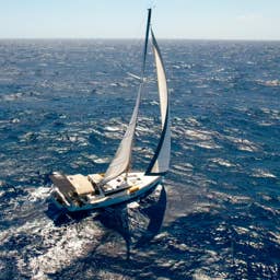 Surf, Fish, and Explore: A Dream Journey Aboard 'Drift Theory'