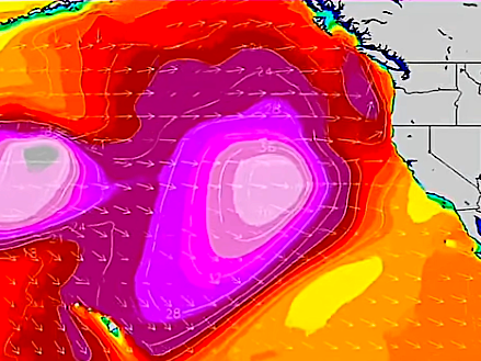 El Niño on Steroids' Could Spawn the Biggest Wave Ever Surfed