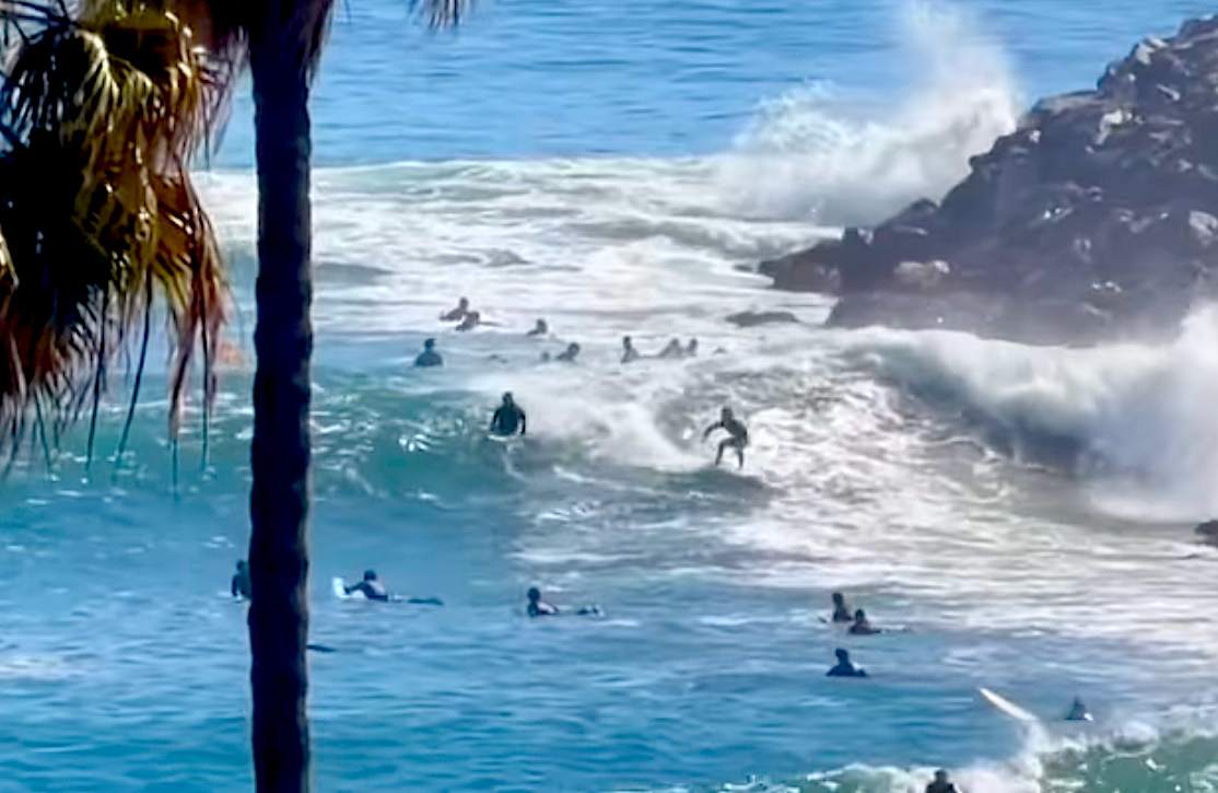 swellflowersスキューバVカットサーフスーツサーフィンecobitch Swell