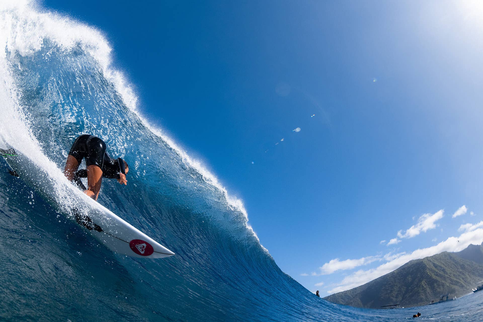 Carver Skateboards | The Fort Knox - Surfer