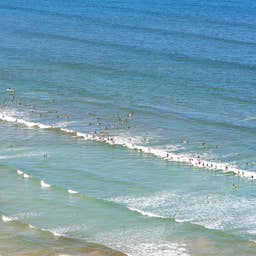 Newquay Surfers Plot Mass Paddle to Smash World Record in September