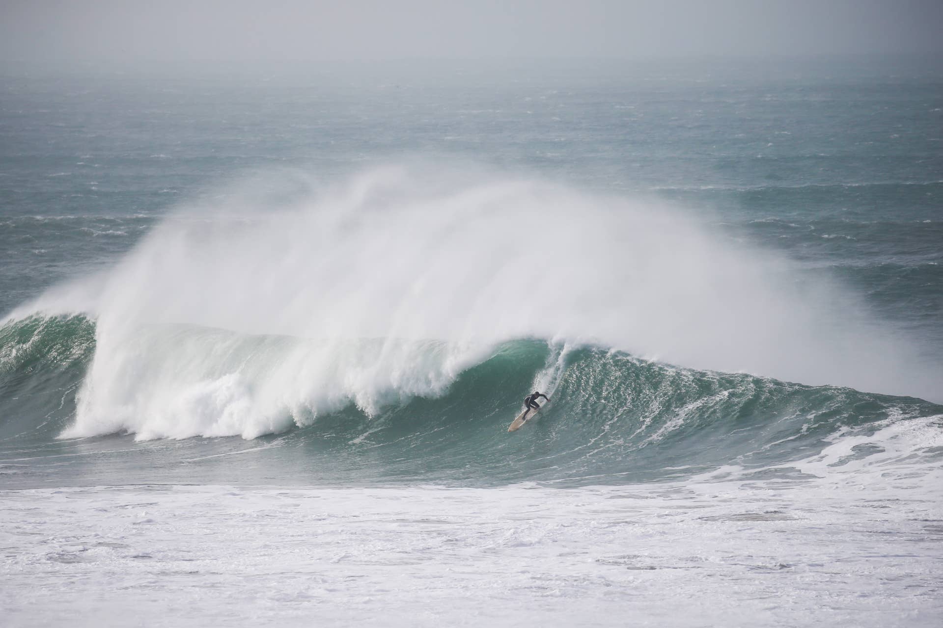 The Mountain and The Wave: The Quiksilver Story - Surfer