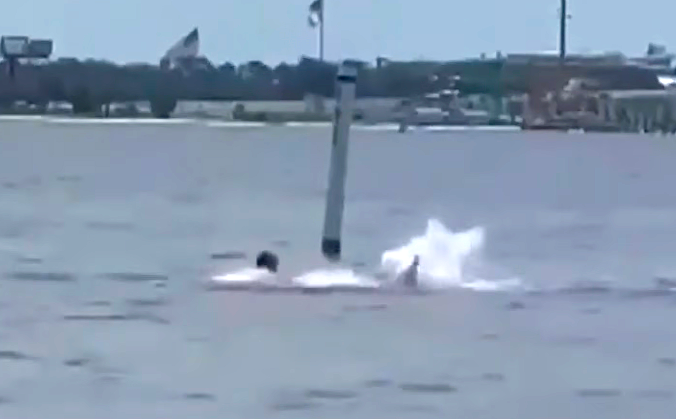 Shark Attack Caught on Camera at Florida Navy Base - Surfer