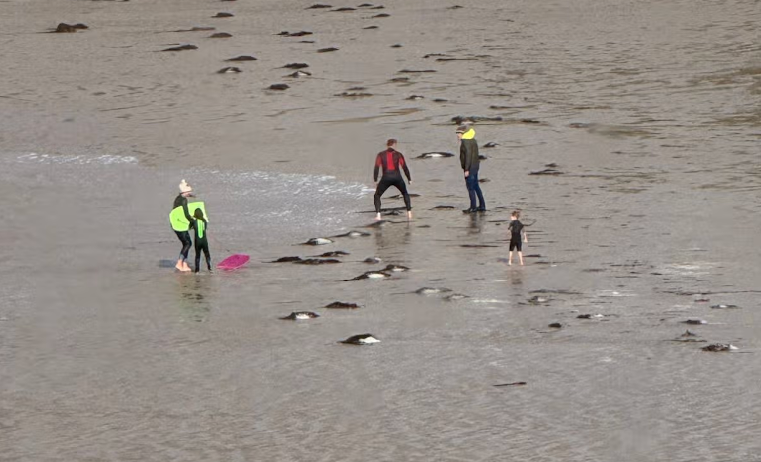 Storm Austen Chaos: Cornwall Beach Fight Erupts After Family Ignores Red Flag (Video)