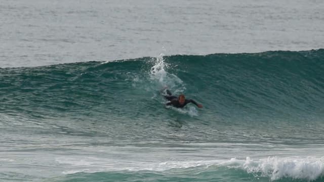Surfing 101 sale