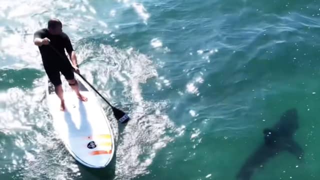 Reddit Co Founder Says Having the Surfer Mindset is Key For a