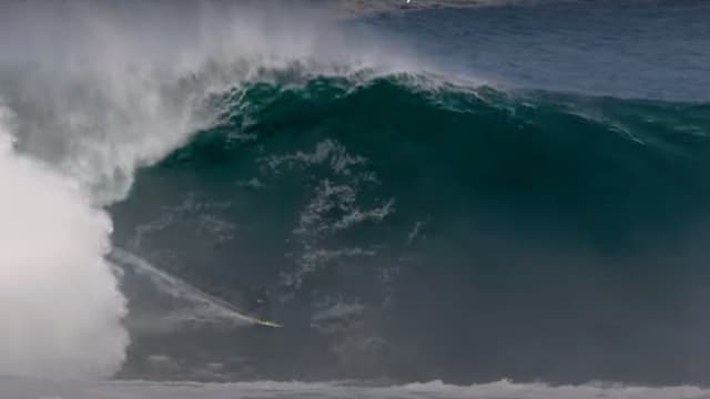 Andrew sales cotton wipeout