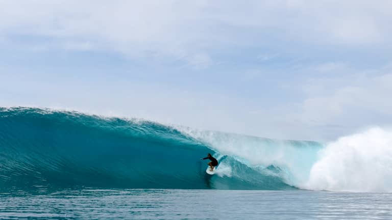 Torren martyn store surf