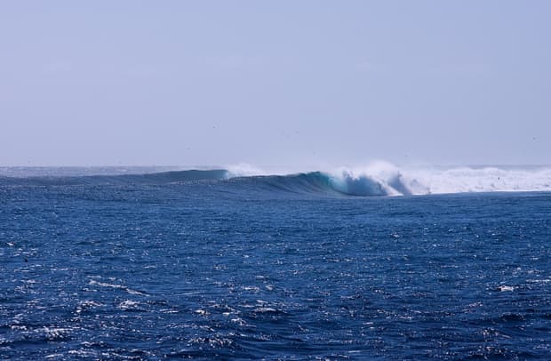 The Great Barrier Reef Surfer
