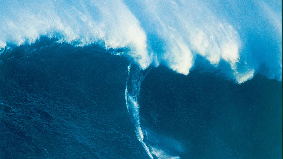 Laird hamilton deals jaws