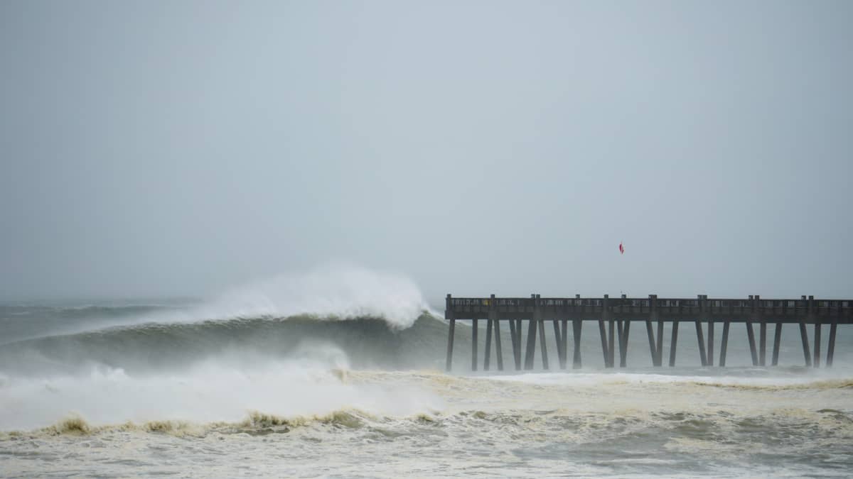 Wave hurricane online