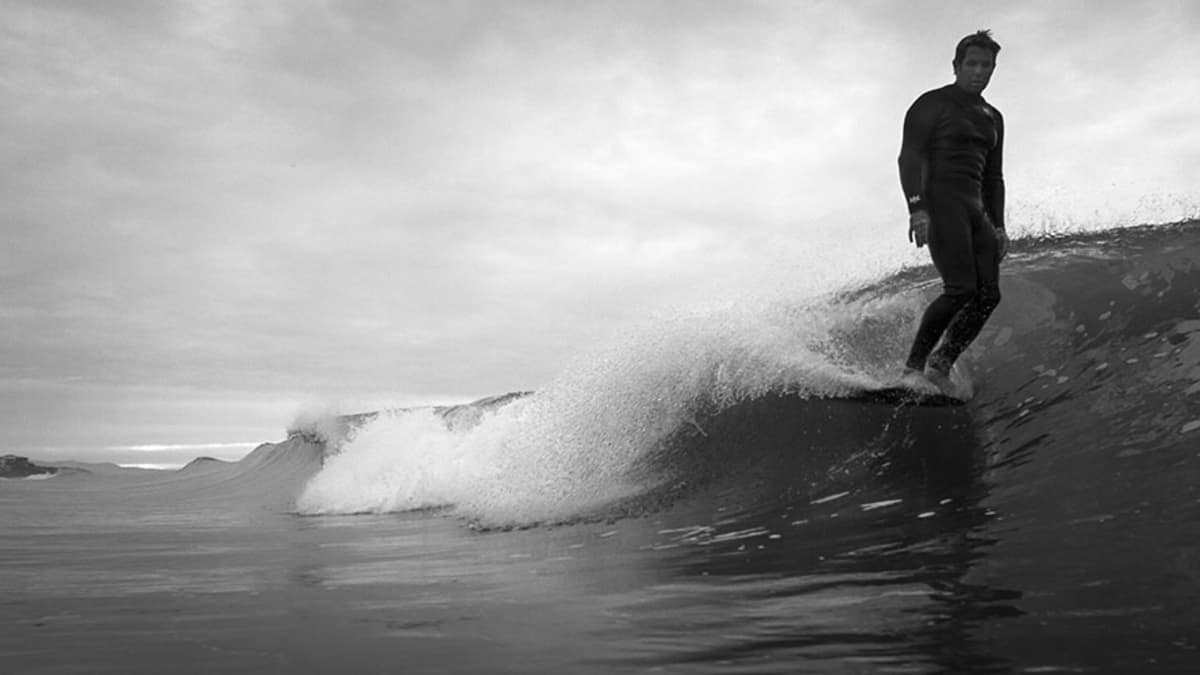 Cj sales nelson surfer