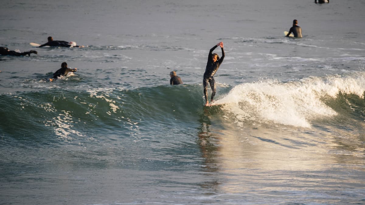 Santa cruz sale longboard surfboard