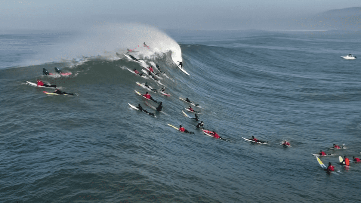 Jeff on sale clark surfer