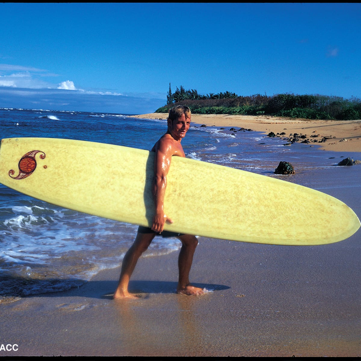 Surf Simply Interviews – Bob Mctavish