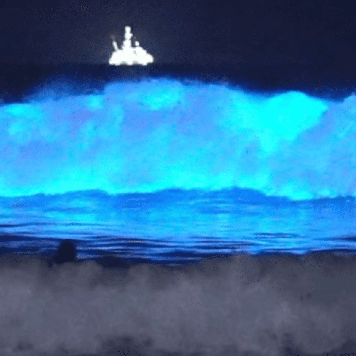 Bodyboarders rip through bioluminescent waves in California