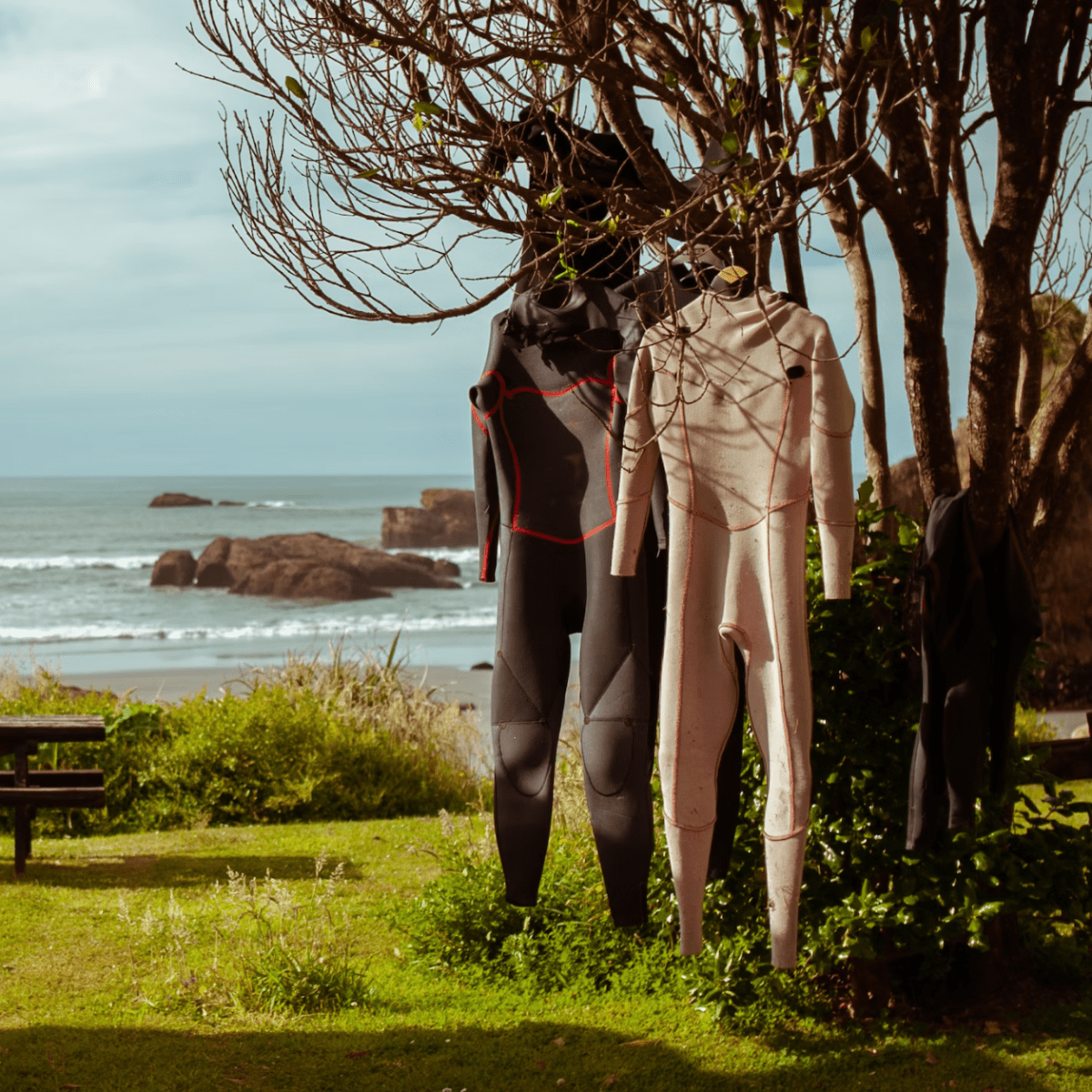 Wetsuit Thickness and Water Temperature Guide - Surfer Forecast