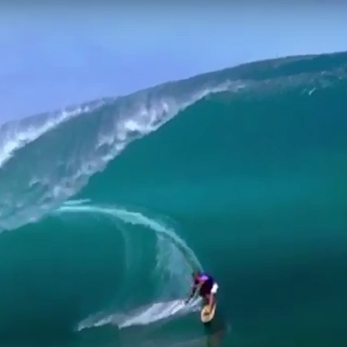 Laird shop hamilton wave