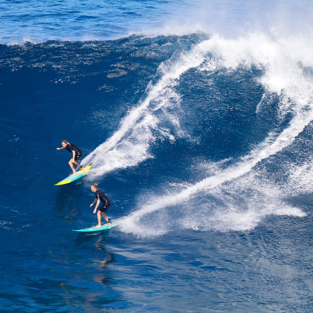 Paige online alms surfer
