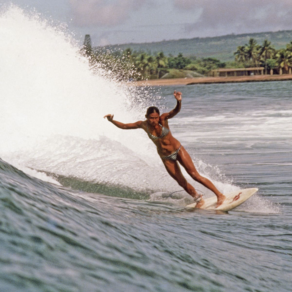 Rell shop sunn surfing