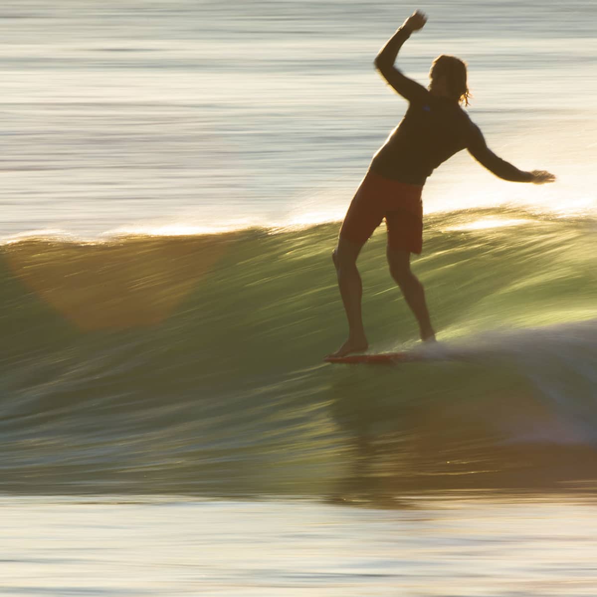 Best longboard surfers outlet of all time