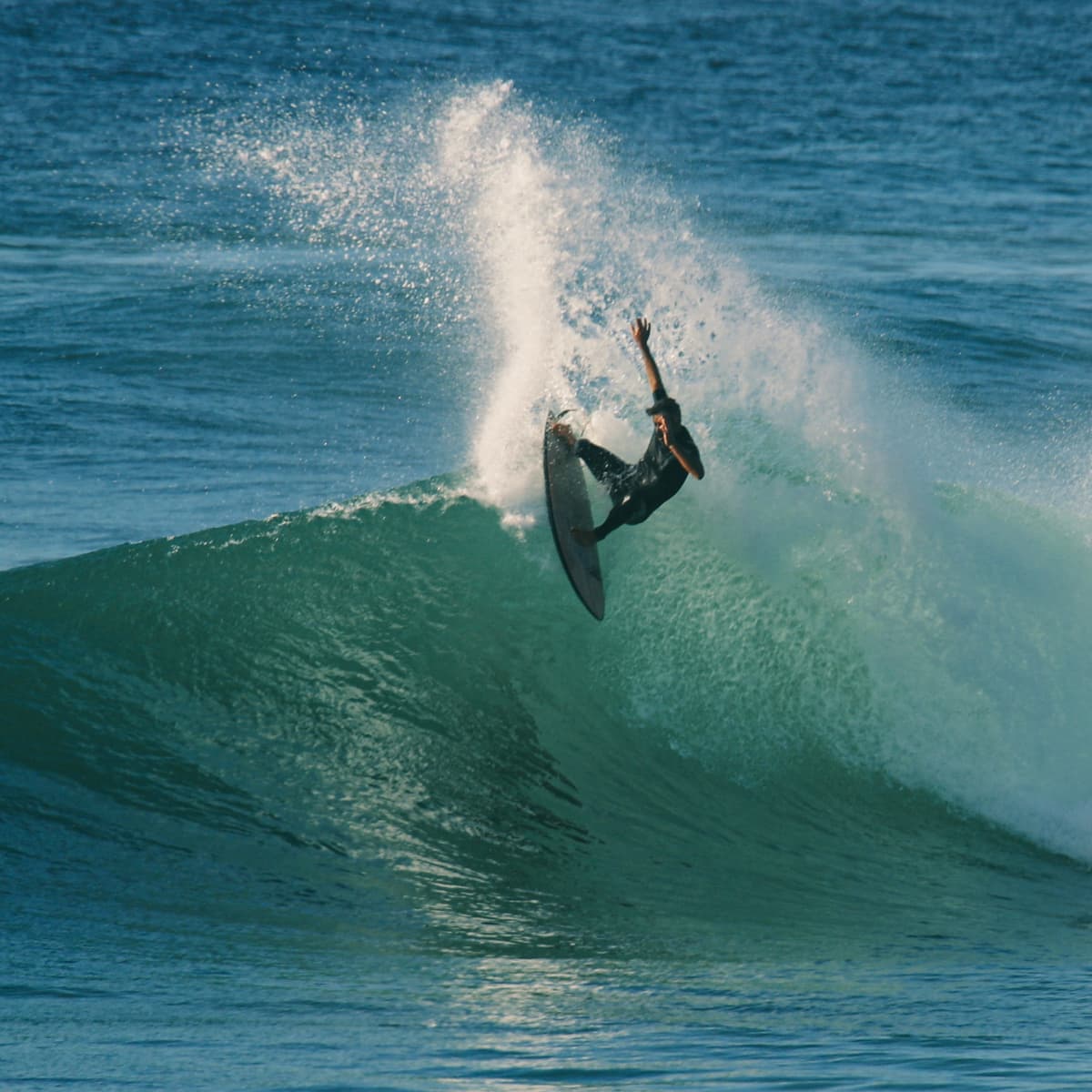 Dave rastovich body shop surfing
