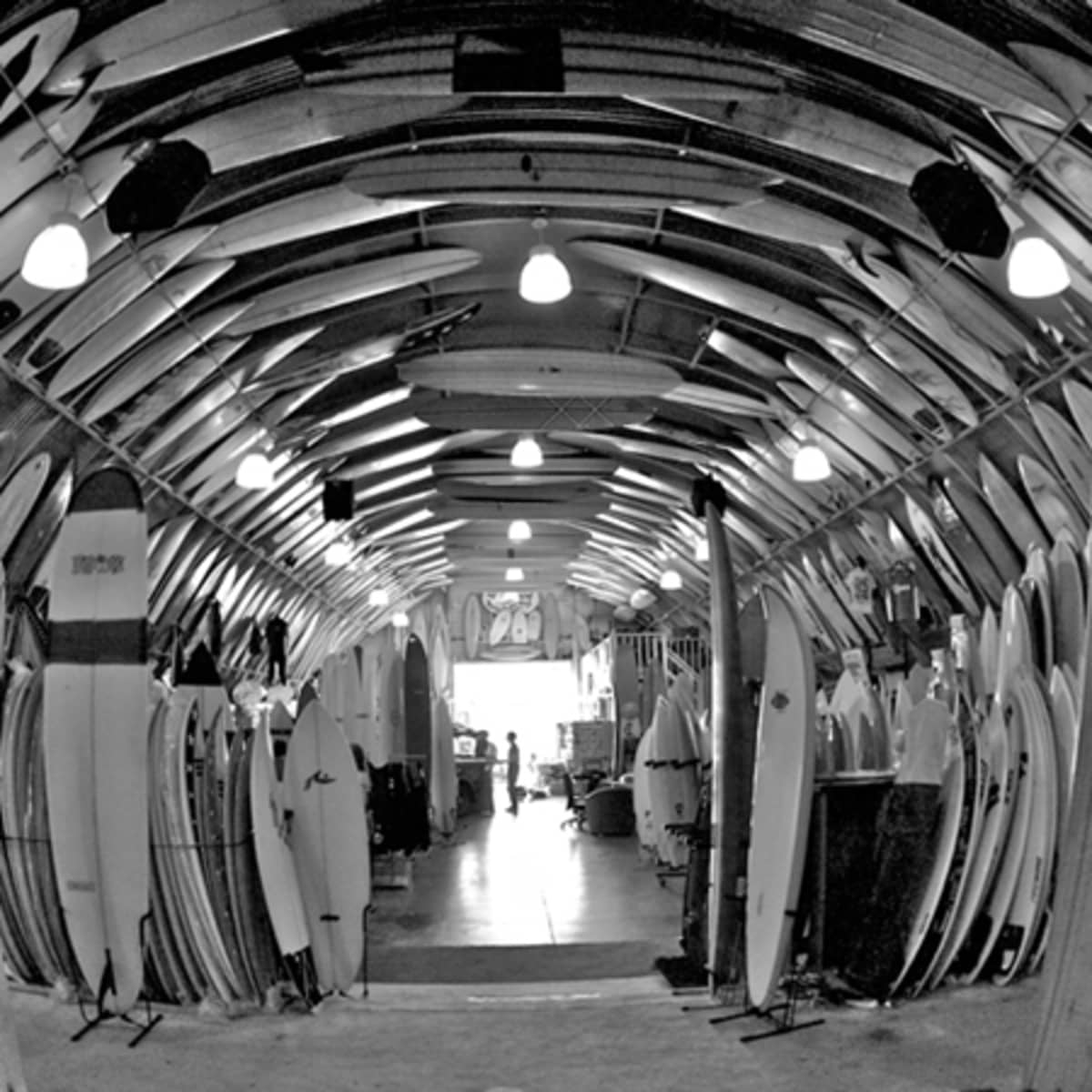 Birds store surf shop