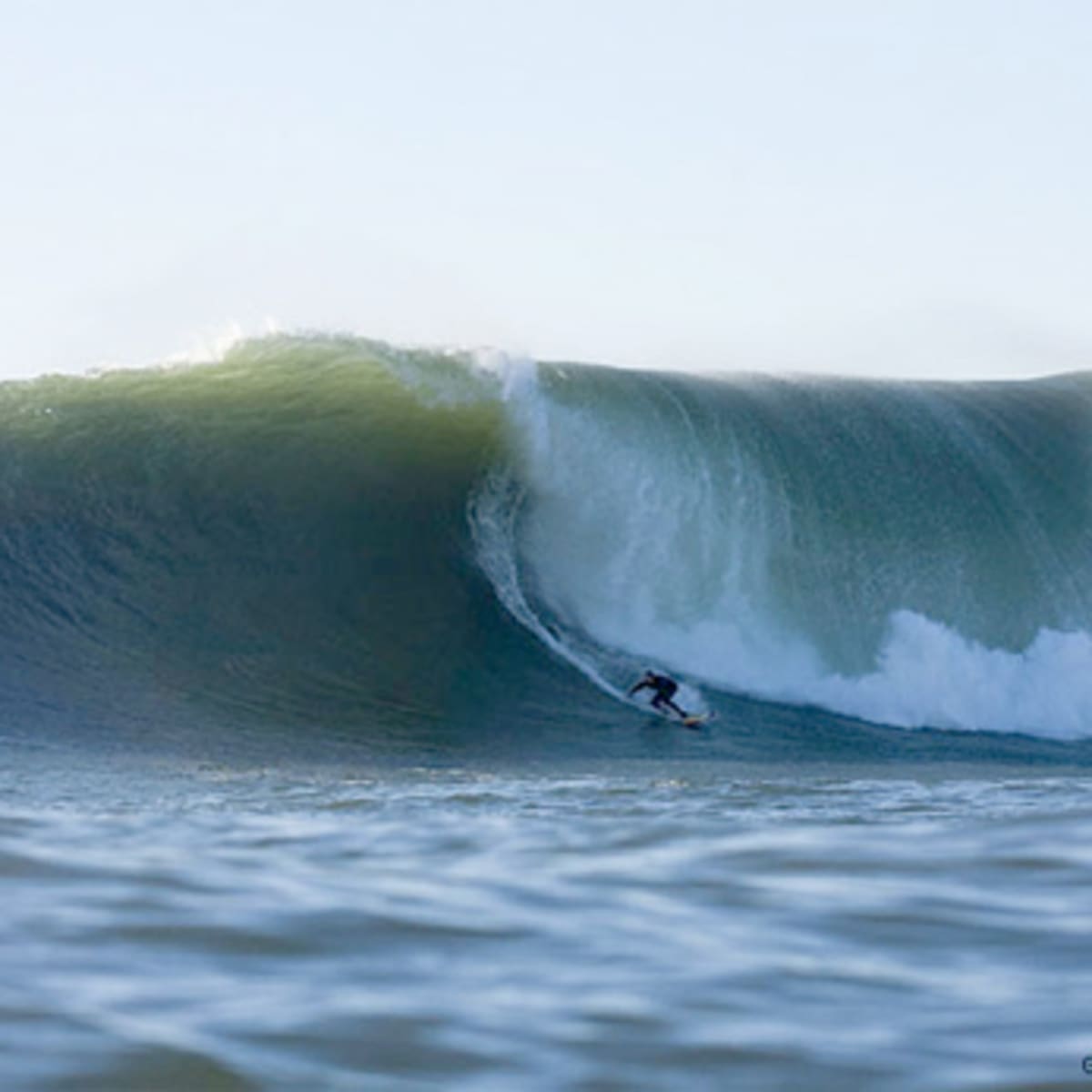Jeff clark surfer discount