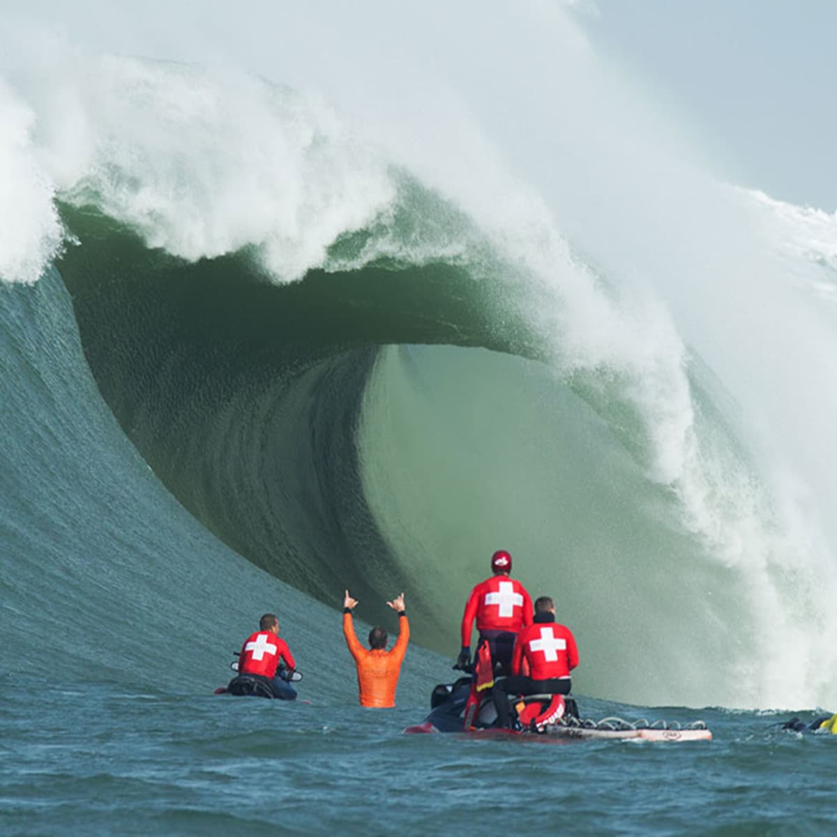 Mavericks swell new arrivals