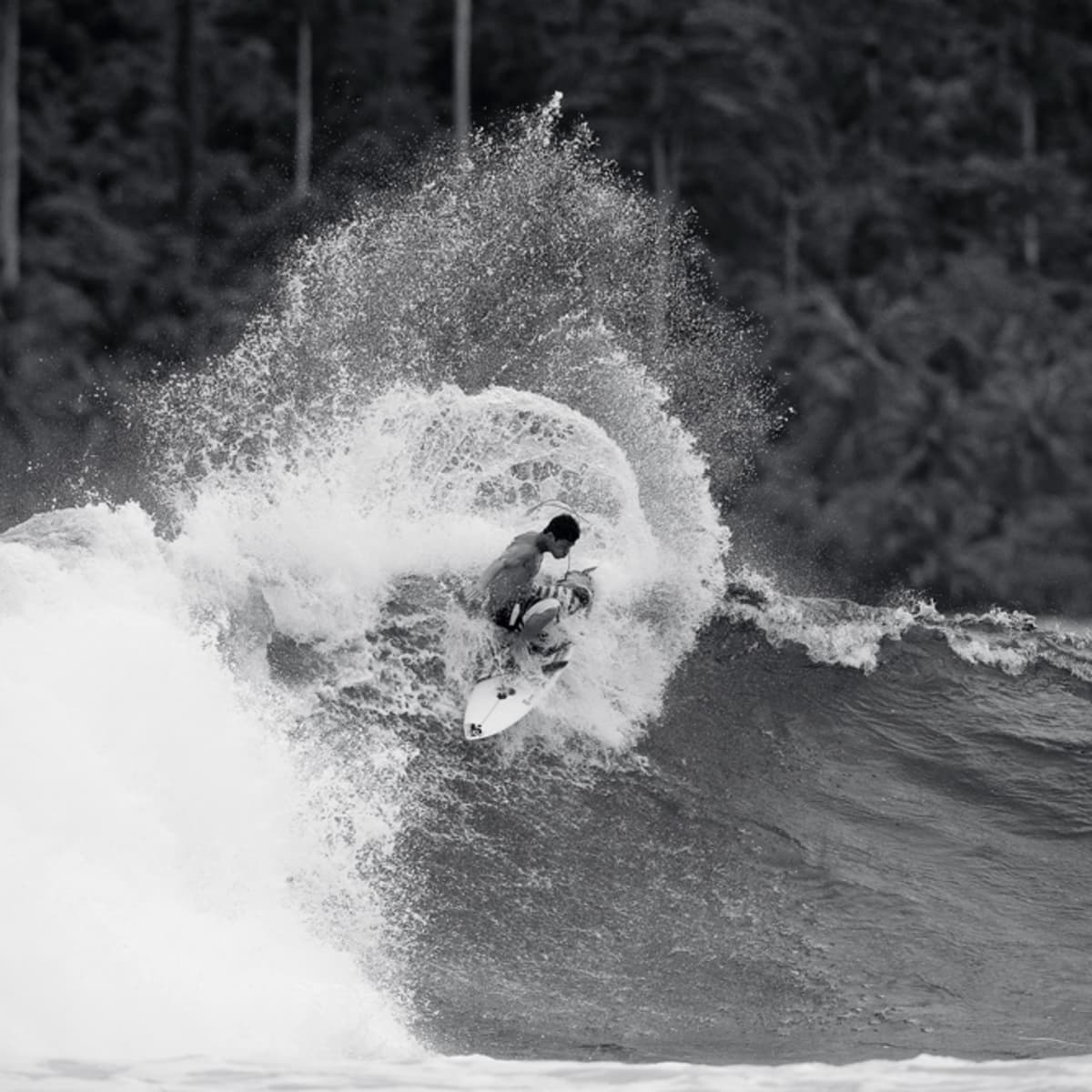 Kalani on sale robb surfing