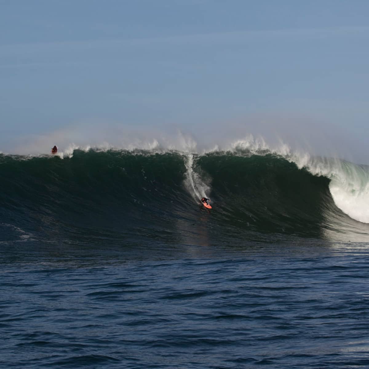 Pacific northwest shop surfing