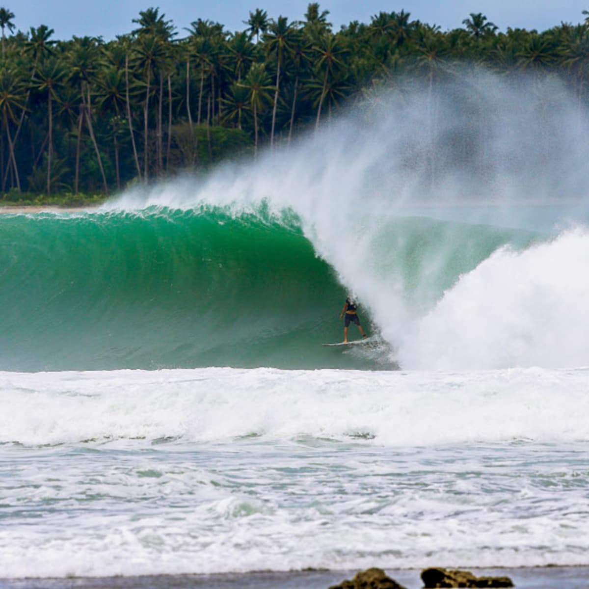 Nias wave shop