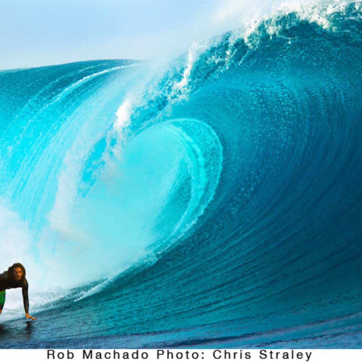 Reef rob sale machado
