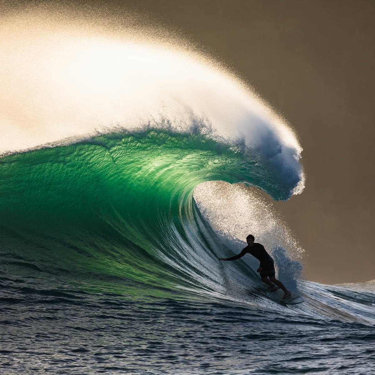 Surf best shop
