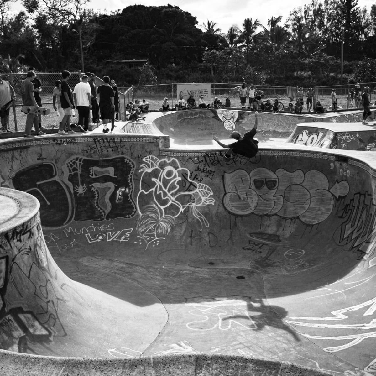 Vans oahu new arrivals